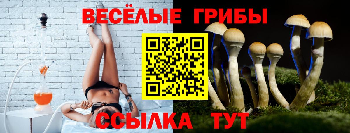 Трёхгорный  наркошоп  Псилоцибиновые грибы ЛСД  Вход с VPN  Псилоцибиновые грибы Cubensis 