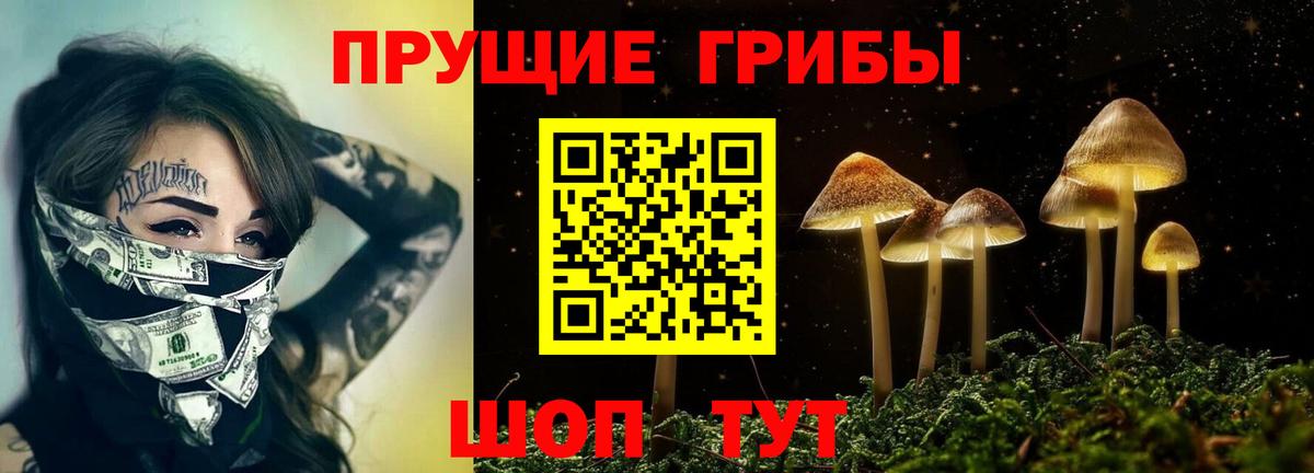 Псилоцибиновые грибы Psilocybe Трёхгорный