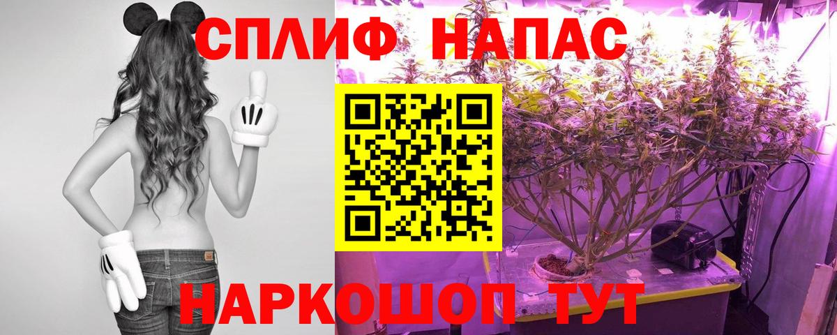 МАРИХУАНА AK-47  Марихуана AK-47  Марихуана сатива  Вход с VPN  Марихуана планчик  Трёхгорный 